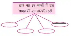 Class 8th Hindi Chapter 7 Solution Mere Raza Sahab Lesson 7 Class 8 Hindi